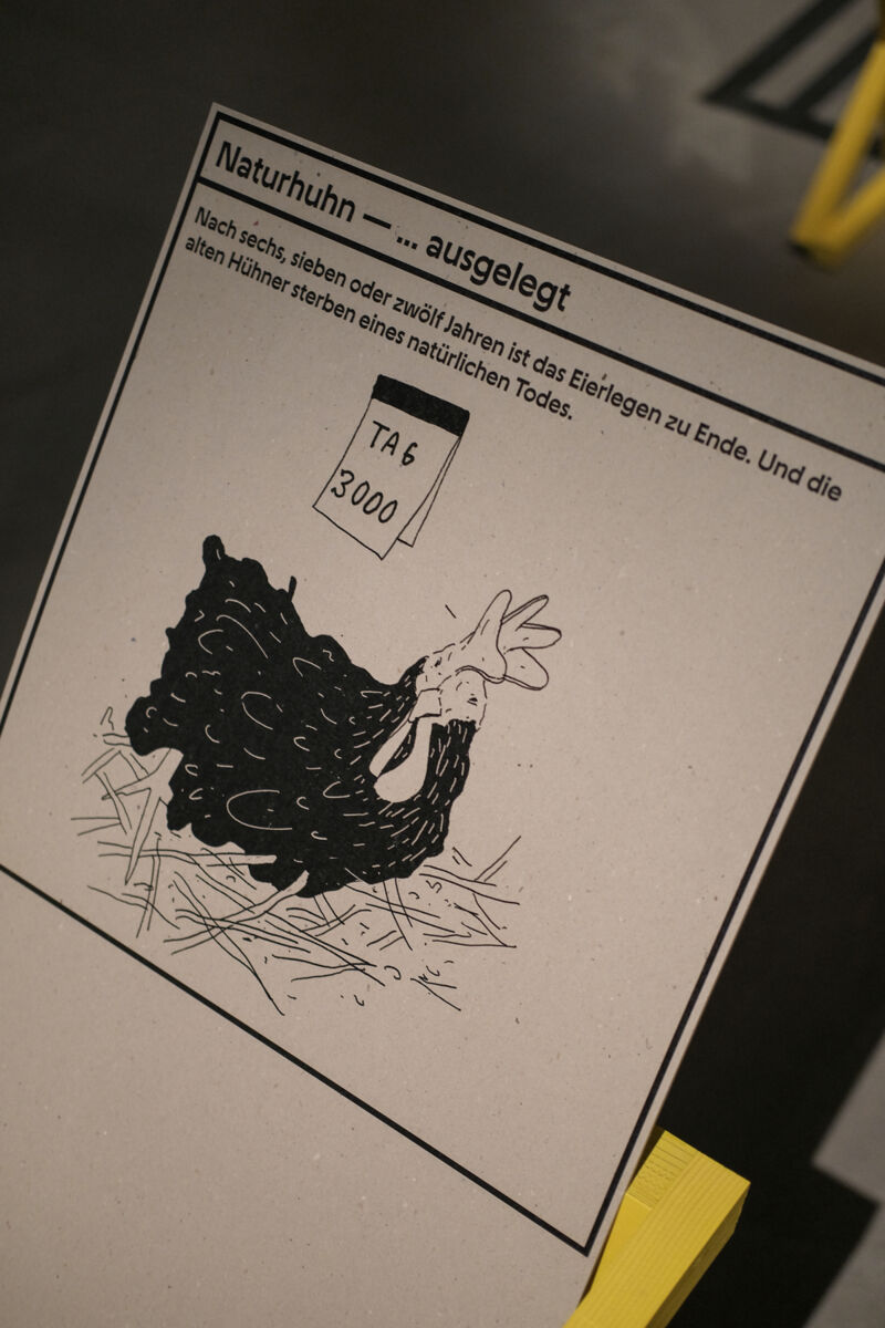 Huhn-11.jpg