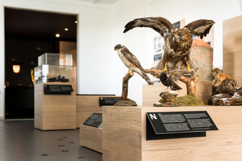 ortsmuseum-8.jpg